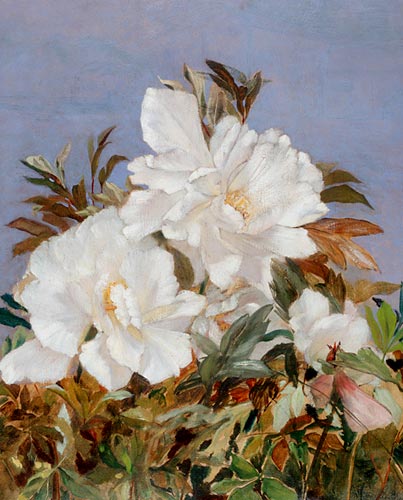 Rudolf Ribarz - Blooming flowers