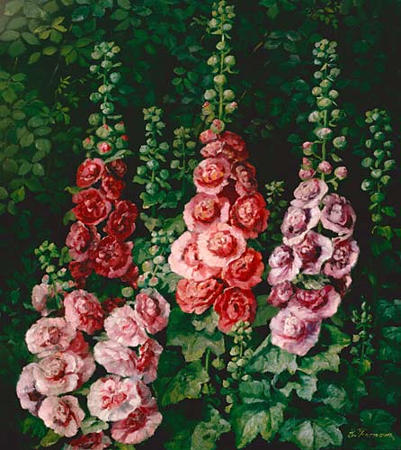 Emmy Thornam - Cane roses