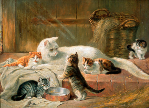 Julius Adam - cat family