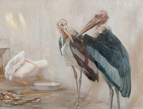 Carl Kappstein - Couple of marabous with a pelican