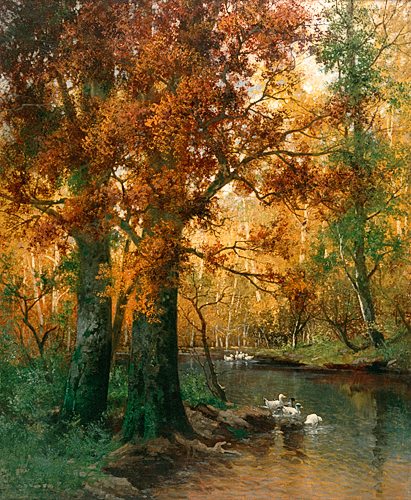 Adolf Kaufmann - Ducks in a forest lake