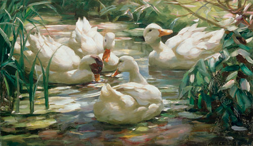 Alexander Koester - Ducks in a pond in the wood