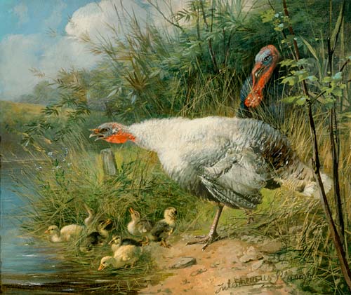 Julius Scheuerer - Family of turkeys at the water side of a pond