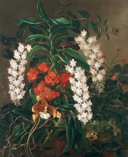 Prinzessin Augusta von Hessen-Kassel - Flowers still life with orchids