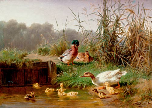 Carl Jutz d.Ä. - Group of ducks and chicks at a pond