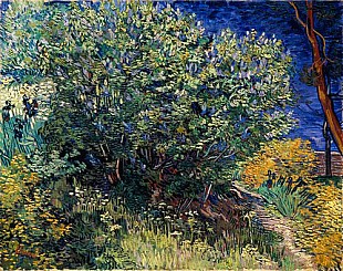 Vincent van Gogh - Syringa