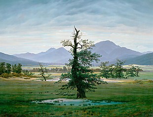 Caspar David Friedrich - The lonesome tree