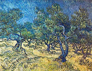 Vincent van Gogh - Olive trees (Les Oiliviers)
