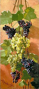 Edward Leavitt - Grapes