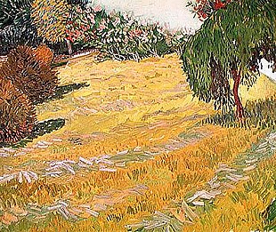 Vincent van Gogh - Field in Sunlight