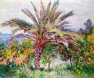 Claude Monet - Palm Tree at Bordighera