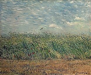 Vincent van Gogh - Wheatfield with Lark