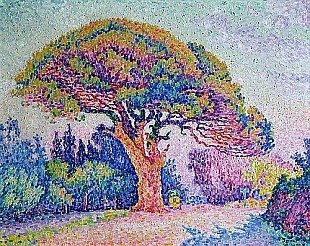 Paul Signac - The Pine Tree at St. Tropez, 1909 