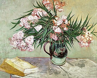 Vincent van Gogh - Oleanders and Books