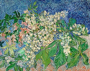 Vincent van Gogh - Blossoming Chestnut Branches