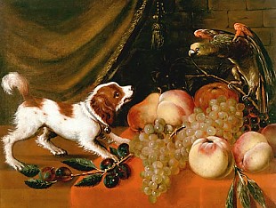 Frans Snyders - Fruit still life with dog and parrot