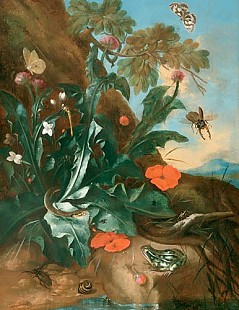 Franz Michael S. von Burgau - Still life with thistle and insects