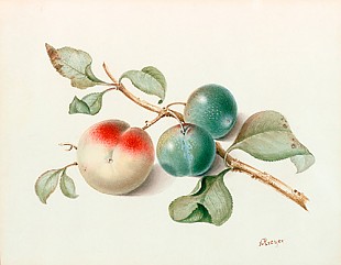 Johann Wilhelm Preyer - Still life with a branch of peaches