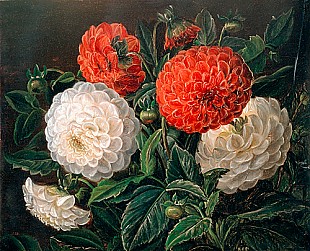 Johan Laurentz Jensen - zugeschr. - Flower stillife