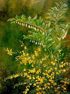 Anthonorre Christensen - Still life with yellow blooming broom