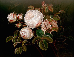 Johan Laurentz Jensen - Still life with blooming white roses