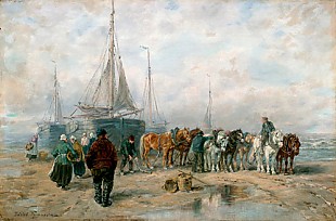 Desire Thomassin - Fishermen unloading their boats