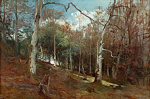 Emil Hellrath - autumn forest