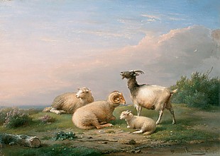 Frans van Severdonck - Sheep and a goat in wide landscape