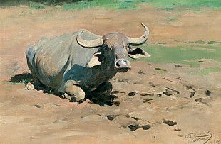Wilhelm Kuhnert - Water buffalo