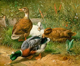 Carl Jutz d.Ä. - Ducks at the waterside of a pond