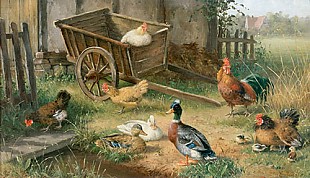 Carl Jutz d.Ä. - Poultry farm