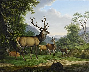 Eduard Kehrer - Pride of red deers in a forest landscape