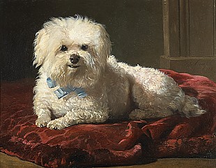 Bernhard Te Gempt - Dog with blue bow