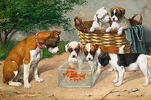 Carl Reichert - English bulldogs with goldfish bowl