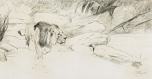 Wilhelm Kuhnert - Creeping lion