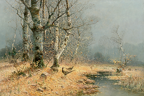 Otto Fedder - Pheasants in a autumn birch grove