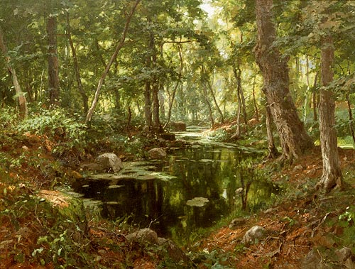 Max Hoenow - Pond in the forest
