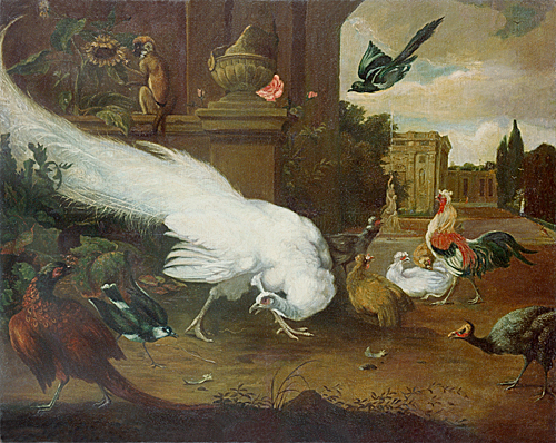 Melchior Hondecoeter - Poultry farm at palace grounds