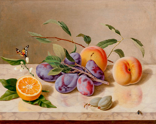 Adolf Carl A. Senff - Still life with butterflies and fruits on light marble desk