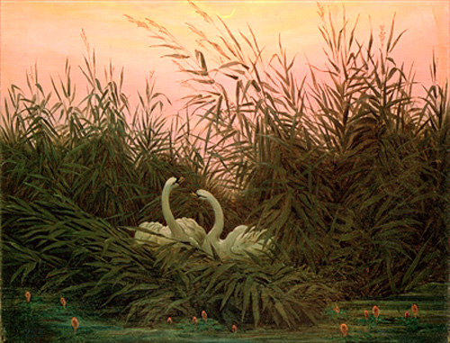 Caspar David Friedrich - Swans in the reed