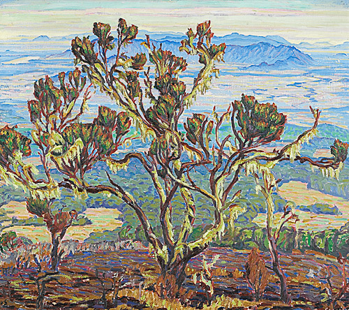 Carl Albert von Salis-Soglio - Trees in a mountain landscape
