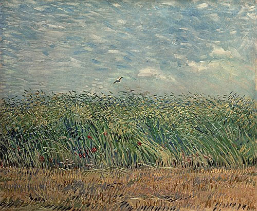 Vincent van Gogh - Wheatfield with Lark