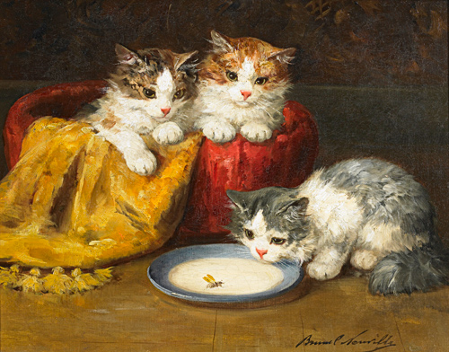 Bernard Neuville - Young cats with bee