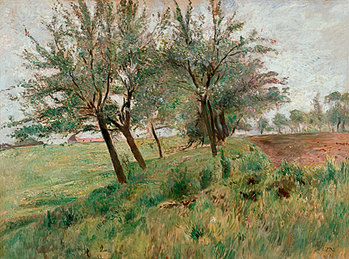 Theodor Hagen - Blooming fruit trees on a meadow near Weimar