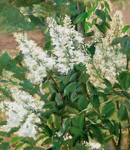 Olga Wisinger-Florian - Blooming shrub in the garden