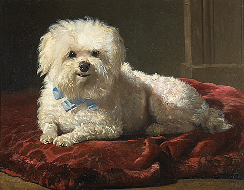 Bernhard Te Gempt - Dog with blue bow
