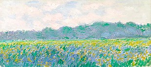 Claude Monet - Field of Yellow Irises at Giverny