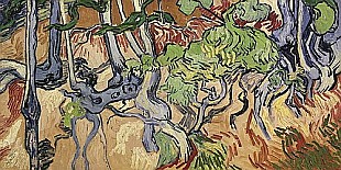 Vincent van Gogh - Tree roots