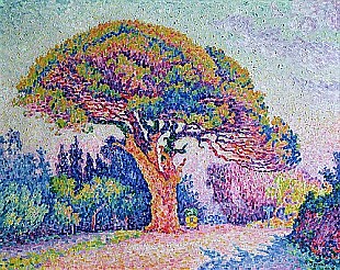 Paul Signac - The Pine Tree at St. Tropez, 1909
