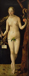 Albrecht Dürer - Eve